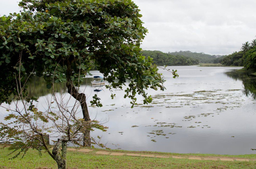 Parque de Pituaçu.