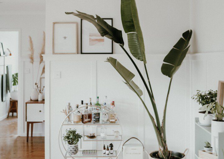 Sala de estar com carrinho de bar em ferro e um vaso de planta.