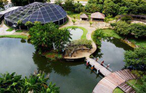 Foto que ilustra matéria sobre Parques em Belém mostra a parte interna do Parque Mangal das Garças em Belém