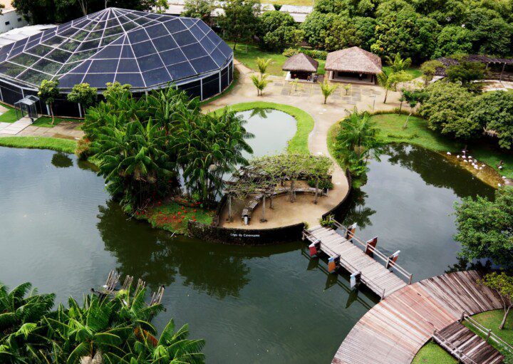 Foto que ilustra matéria sobre Parques em Belém mostra a parte interna do Parque Mangal das Garças em Belém