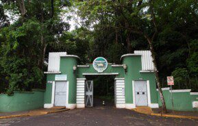 Foto que ilustra matéria sobre o Zoológico Ribeirão Preto mostra a entrada do Zoológico com árvores no seu entorno.