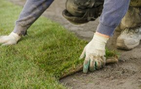 Imagem de uma pessoa plantando placas de grama com luva branca.