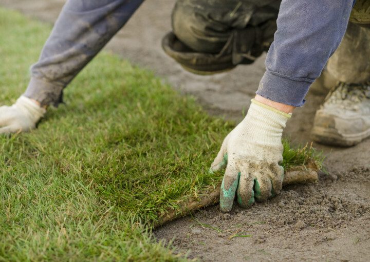 Imagem de uma pessoa plantando placas de grama com luva branca.