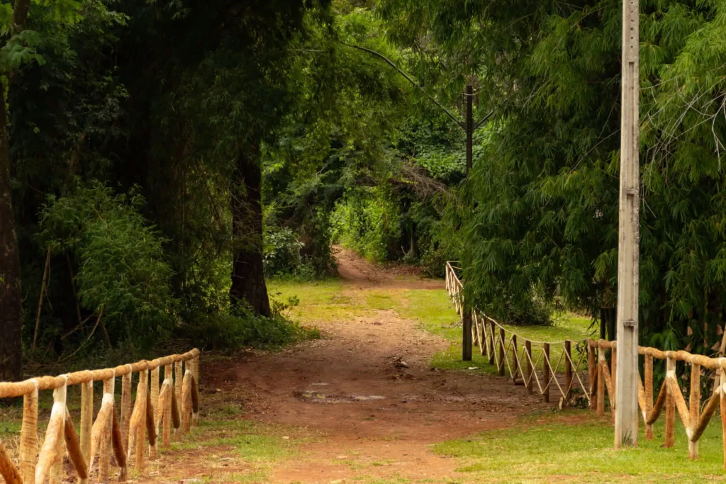 Imagem de passagem de terra cercada por árvores no Jardim Botânico de Goiânia para ilustrar matéria sobre o maior parque de Goiânia