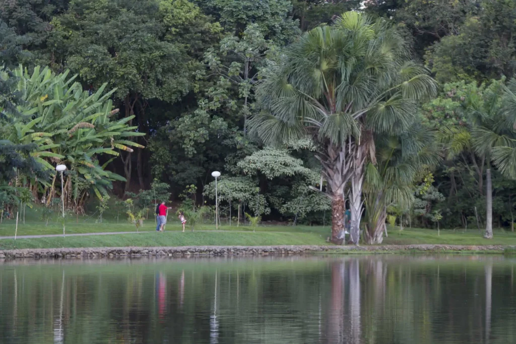 Imagem de lago, árvores, gramado e visitantes no Parque Vaca Brava, em GoiÂnia, para ilustrar matéria sobre o melhor parque de Goiânia