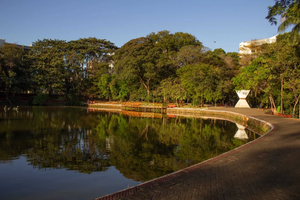 Imagem de lago e árvores no Bosque dos Buritis, em Goiânia, para ilustrar matéria sobre parque em Goiânia para piquenique
