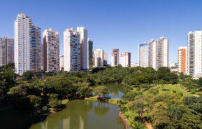 Parque Flamboyant com prédios ao fundo.