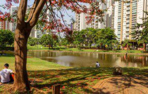 Parque Flamboyant, em Goiânia.