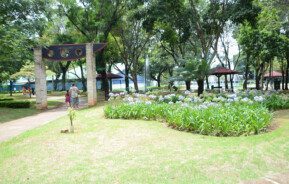 Foto que ilustra matéria sobre o Parque Santos Dumont, em São José dos Campos, mostra um dos jardins do parque