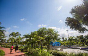 Foto que ilustra matéria sobre parques em Praia Grande mostra uma parte do Parque da Cidade, onde aparecem muitas árvores, uma pista de cooper à esquerda e, mais ao fundo, um letreiro com grandes letras em azul com o nome do parque.