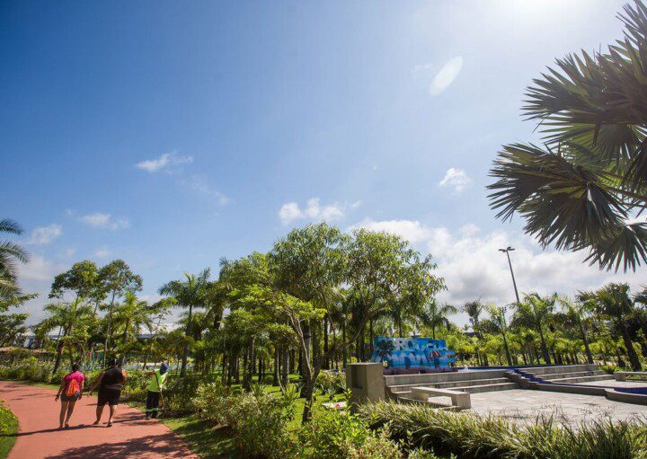 Foto que ilustra matéria sobre parques em Praia Grande mostra uma parte do Parque da Cidade, onde aparecem muitas árvores, uma pista de cooper à esquerda e, mais ao fundo, um letreiro com grandes letras em azul com o nome do parque.