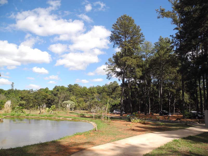 Jardim de Contemplação, no JBB.