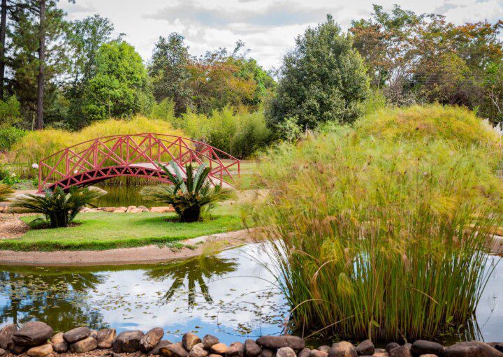 Espaço zen, com ponte vermelha sobre um lago, no Jardim Botânico de Brasília.