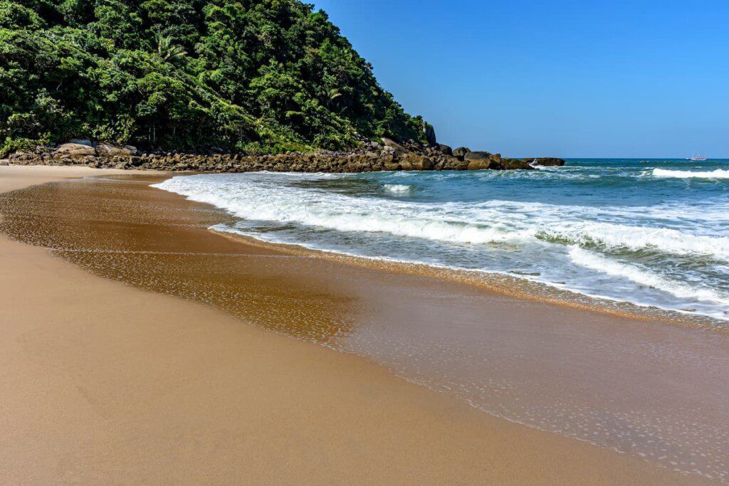 Trecho da praia Praia do Éden, com um pouco de Mata Atlântica. 