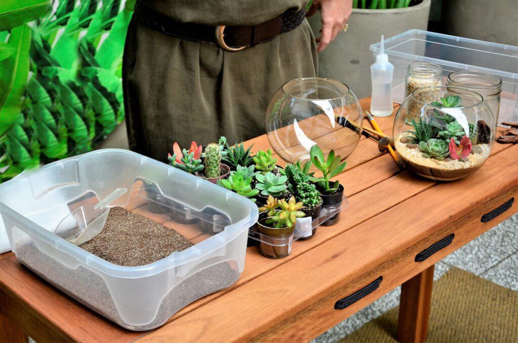 Mesa de madeira com os materiais necessários para a construção do terrário: plantas, areia, pedras e globo de vidro.