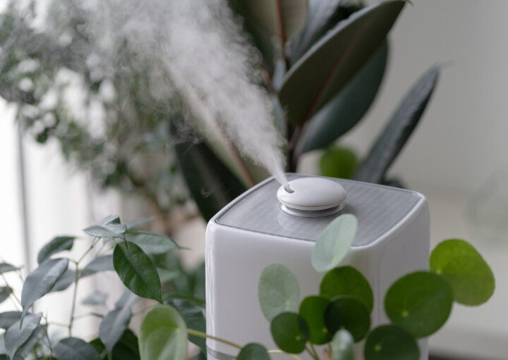 Imagem de um umidificador de ar branco cercado por plantas liberando vapor de água no ambiente