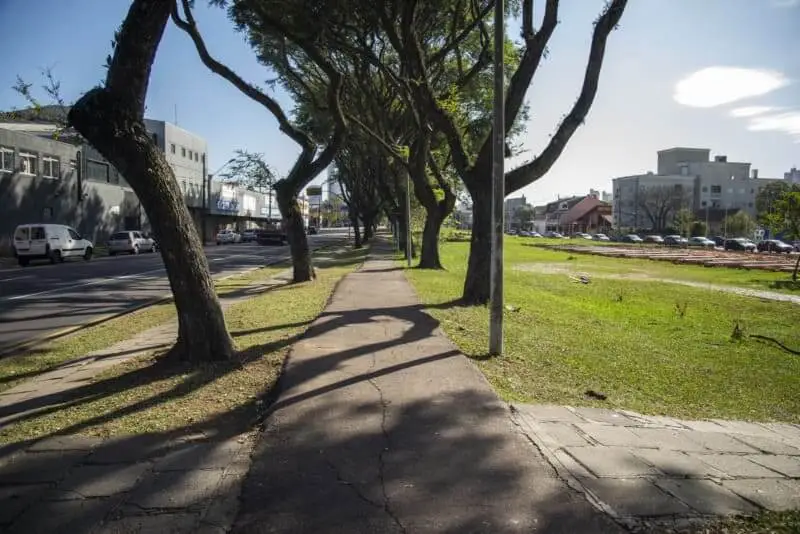 Imagem de ciclovia no bairro Rebouças, em Curitiba, com árvores, via pública e prédios ao lado
