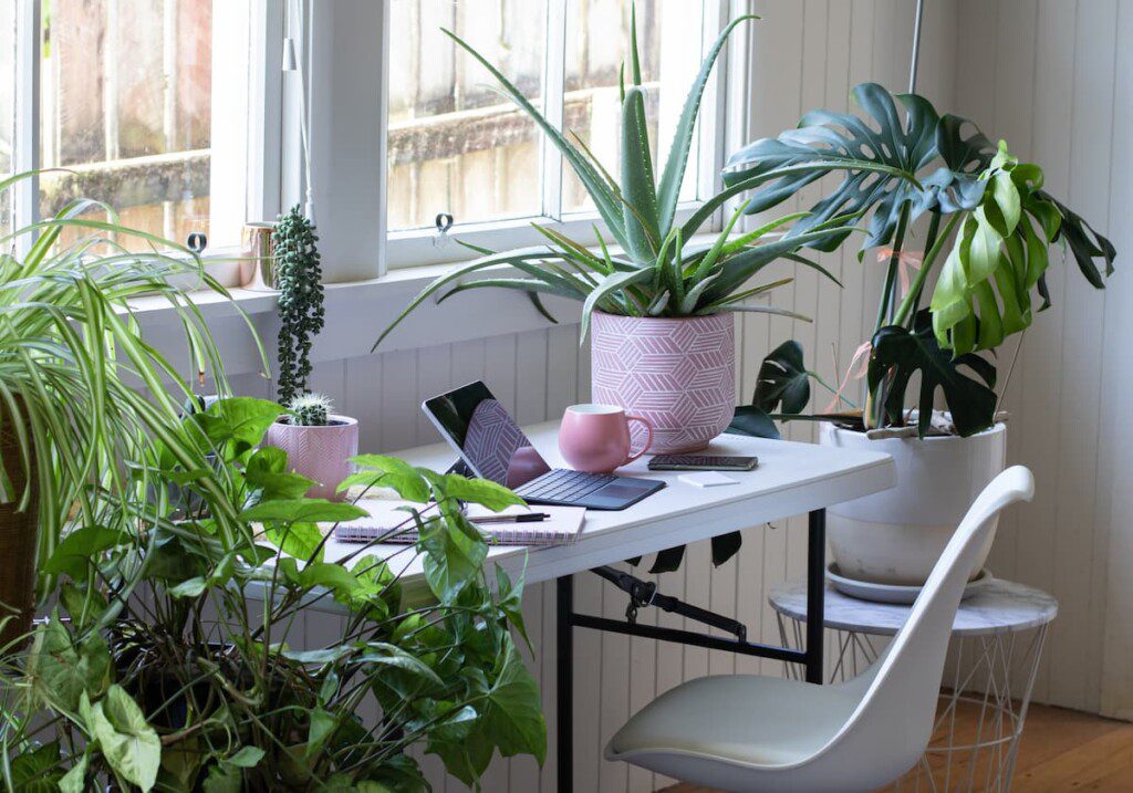 Mesa e cadeira de home oficce, em frente a uma janela, cercadas por plantas, estilo urban jungle.