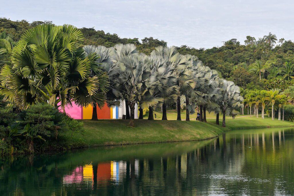 Lagos e jardim de palmeiras próximos a uma obra do Instituto Inhotim.