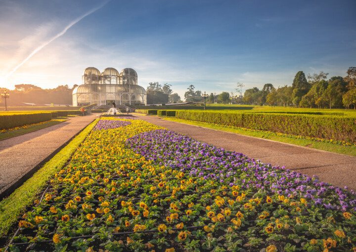 Imagem panorâmica do jardim ao redor da estufa do Jardim Botânico de Curitiba durante o nascer do sol