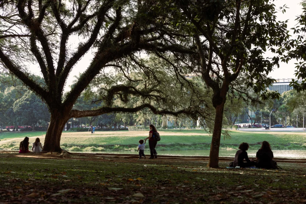Imagem de pessoas relaxando sob árvores grandes e frondosas no Parque do Ibirapuera, algumas sentadas na grama e outras caminhando perto de um rio
