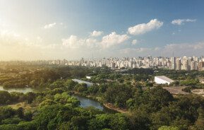 Imagem aérea de parque arborizado em meio aos prédios de São Paulo para ilustrar matéria sobre parques na zona oeste de sp