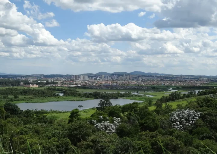 Foto que ilustra matéria sobre os bairros de Suzano mostra trecho preservado da várzea do Rio Tietê, inserido na APA da Várzea do Rio Tietê, com a cidade de Suzano ao fundo