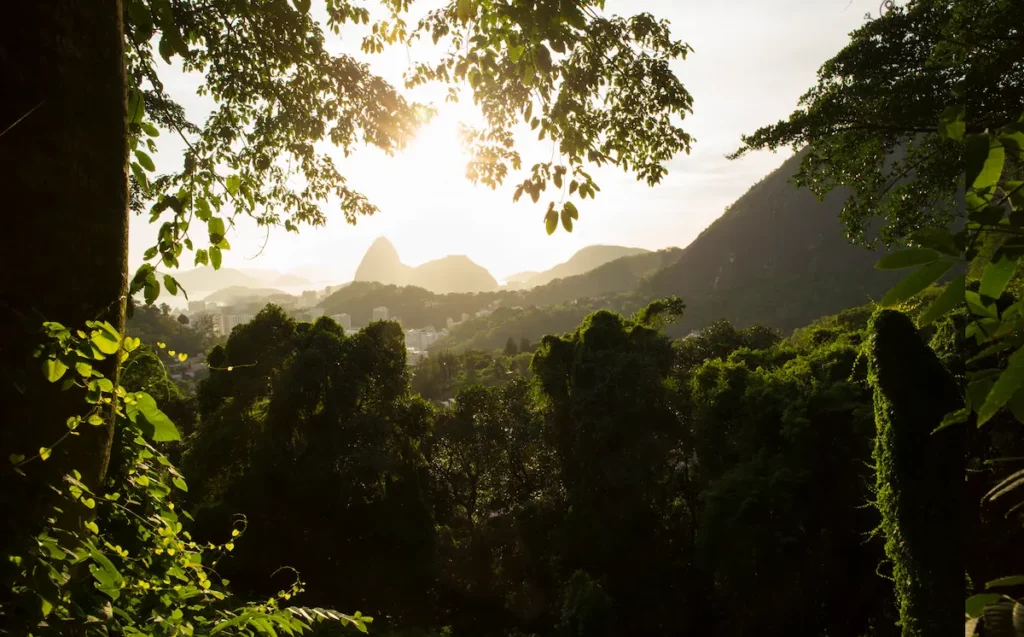 Nascer do sol na Floresta da Tijuca, localizada na Zona Norte do Rio de Janeiro.