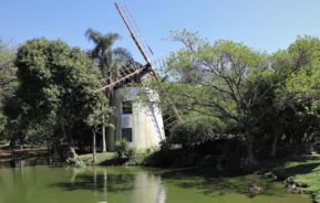 Foto do Parque Moinhos de Vento, conhecido como Parcão.