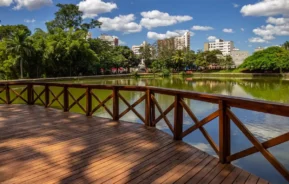 Foto que ilustra matéria sobre as cidades mais verdes do Brasil mostra uma vista panorâmica do Bosque dos Buritis em Goiânia (Foto: Getty Images)