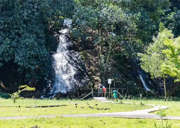 Foto que ilustra matéria sobre trilhas em Salvador mostra uma das cachoeiras do Parque São Bartolomeu (Crédito: Wikimedia Commons)