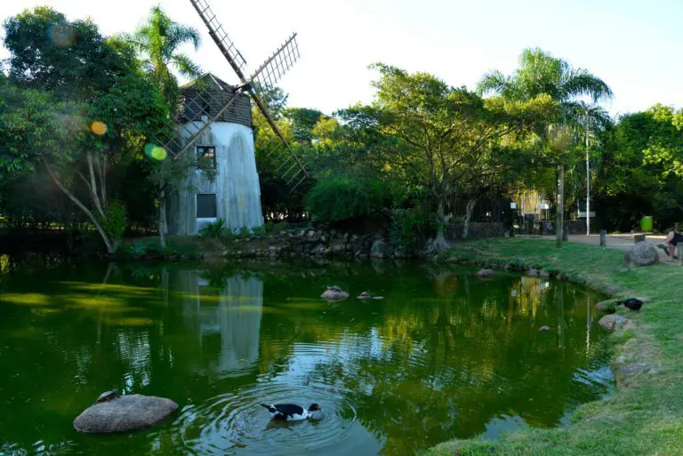 Imagem de lago, moinho e árvores no Parque Moinhos de Vento, em Porto Alegre