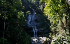 Foto que ilustra matéria sobre Cachoeiras no Rio de Janeiro mostra uma das cachoeiras da Floresta da Tijuca (Foto: Luciola Vilella | MTur)