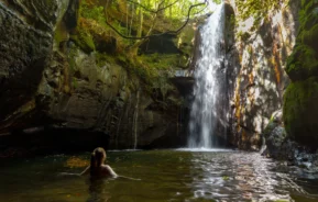 Imagem de uma pessoa nadando em uma pequena cachoeira cercada por pedras cobertas de musgo e árvores verdes exuberantes, com a luz do sol passando por entre as folhas