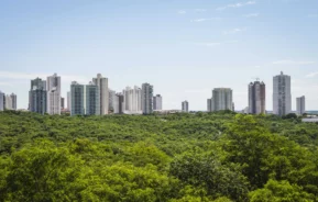 Imagem da linha do horizonte de Cuiabá mostra vegetação e prédios ao fundo para ilustrar matéria sobre as melhores capitais do Brasil