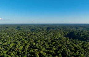 Imagem aérea da natureza da floresta amazônica em um dia de céu azul para ilustrar matéria sobre a cidade mais úmida do Brasil