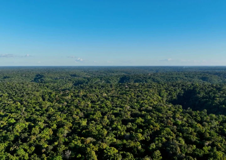 Imagem aérea da natureza da floresta amazônica em um dia de céu azul para ilustrar matéria sobre a cidade mais úmida do Brasil