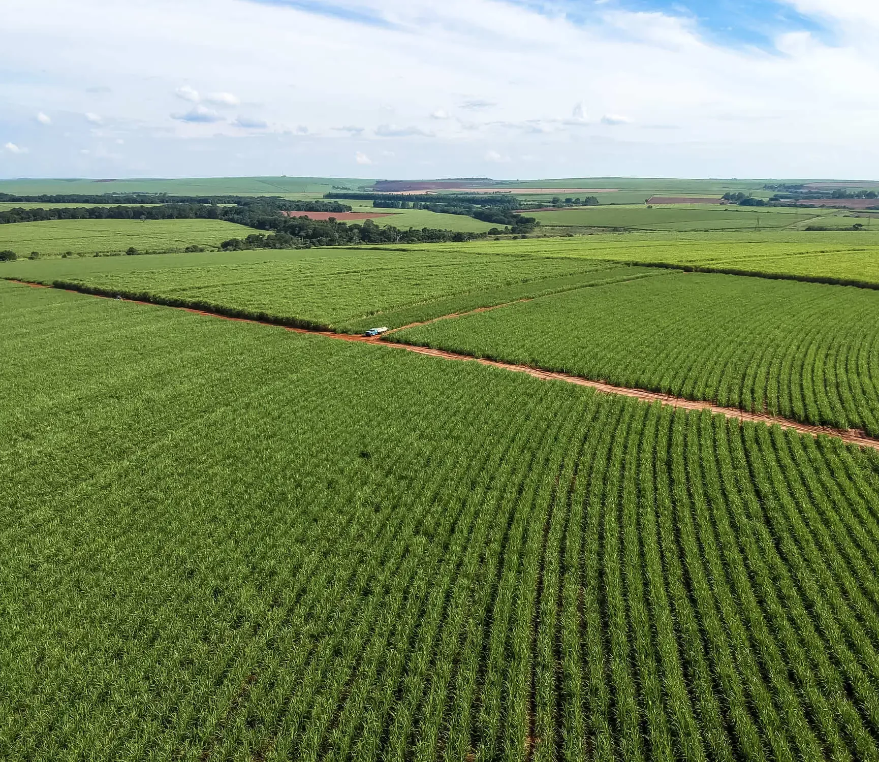 Ituverava tem uma forte atividade econômica baseada na agropecuária