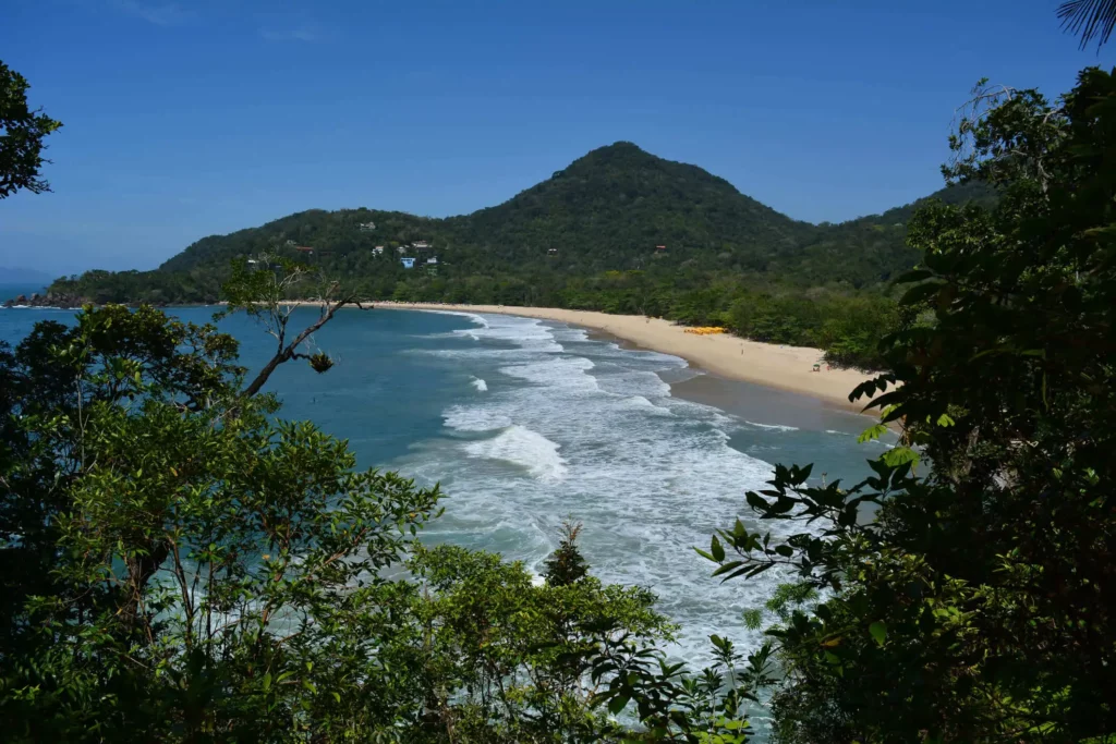 Imagem da vista aérea da Praia do Félix, em Ubatuba, mostra mar, faixa de areia e vegetação em um dia ensolarado