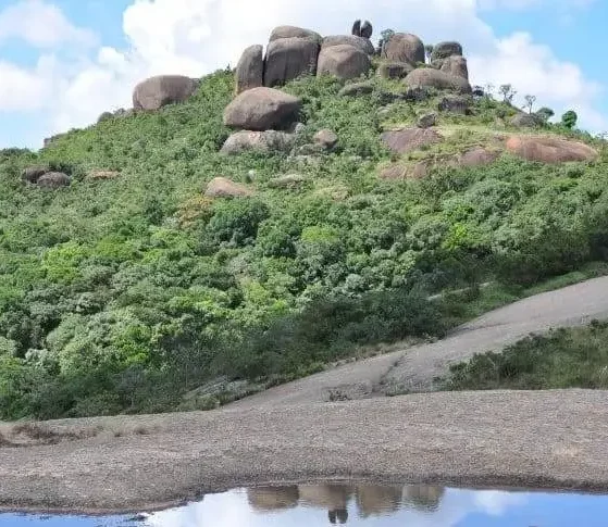 No Parque Ecológico Guarapiranga, próximo ao Terminal Varginhas, há trilhas para caminhadas, espaços para piquenique e quadras esportivas
