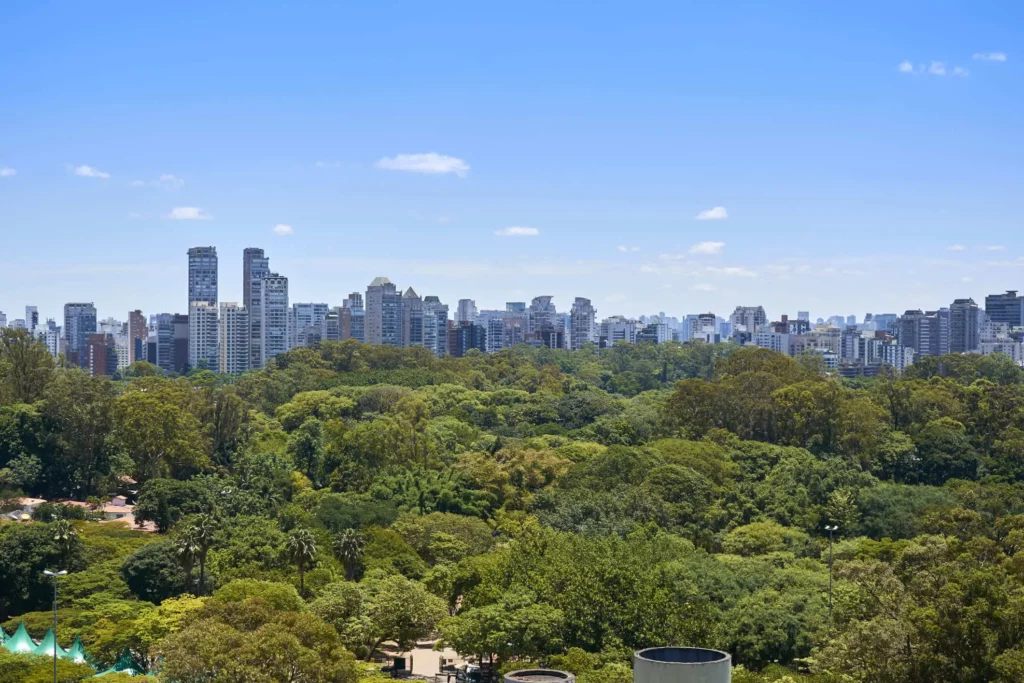 Imagem de árvores no Parque Ibirapuera e prédios ao fundo em um dia de céu azul em São Paulo