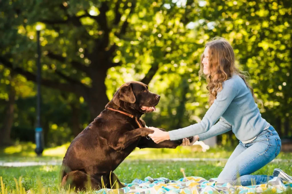 Imagem de uma mulher ajoelhada sobre um pano no gramado enquanto brinca com um cachorro grande para ilustrar matéria sobre o Parque Prof.ª Lydia Natalizio Diogo