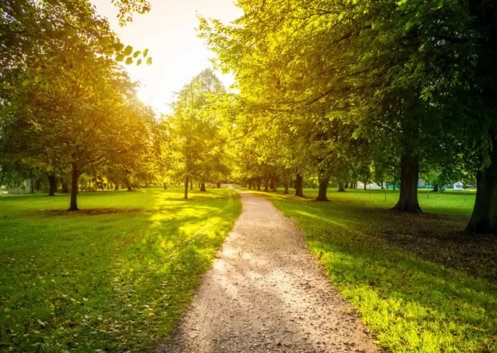 Imagem de um parque urbano mostra pista de caminhada, gramado e árvores para ilustrar matéria sobre parques na Zona Sul de SP