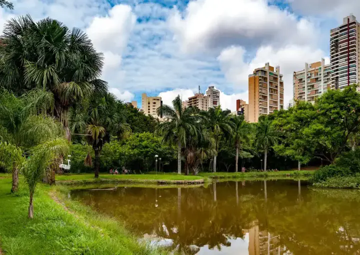 Imagem do Parque Vaca Brava, no Setor Bueno, mostra um pequeno lago cercado por árvores verdes exuberantes e palmeiras, com os altos prédios de apartamentosvisíveis ao fundo sob um céu parcialmente nublado para ilustrar matéria sobre a lista de bairros de Goiânia.