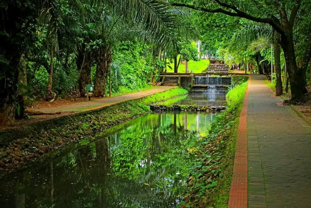 Imagem do Jardim Botânico de Goiânia, no Setor Oeste, mostra um parque verde com um canal estreito que corre entre duas pistas de caminhada pavimentadas, árvores densas no alto e uma pequena cachoeira em degraus ao fundo refletindo na água calma para ilustrar matéria sobre os bairros nobres de Goiânia.