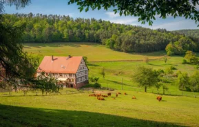 Imagem de um sítio em uma encosta verde com vacas pastando no prado ensolarado e uma floresta exuberante e colinas ao fundo sob um céu azul claro para ilustrar matéria sobre chácara ou sítio.