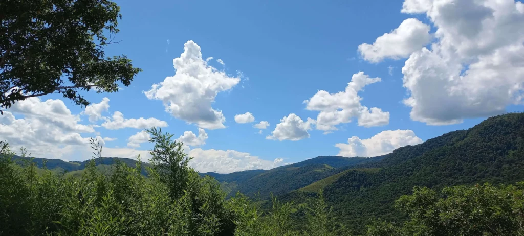magem de uma vista panorâmica de colinas verdes e arborizadas em Miguel Pereira, uma das melhores cidades do interior do Rio de Janeiro, sob um céu azul brilhante com nuvens brancas e fofas, emolduradas por árvores frondosas e plantas altas em primeiro plano