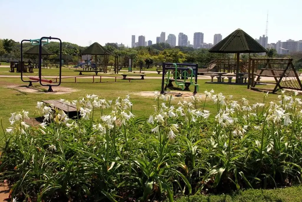 Imagem do Parque Villa-Lobos, em São Paulo, mostra área verde com flores brancas em primeiro plano, várias estruturas de playground e gramados verdes e bancos