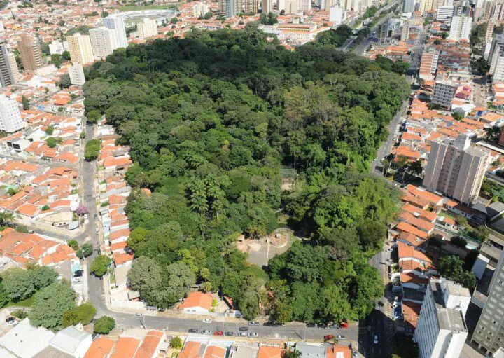 Vista aérea de um grande e frondoso parque em Campinas, cercado por casas de telhado vermelho e prédios altos. O parque se destaca como uma floresta urbana em meio à paisagem da cidade, mostrando a beleza dos parques de Campinas.