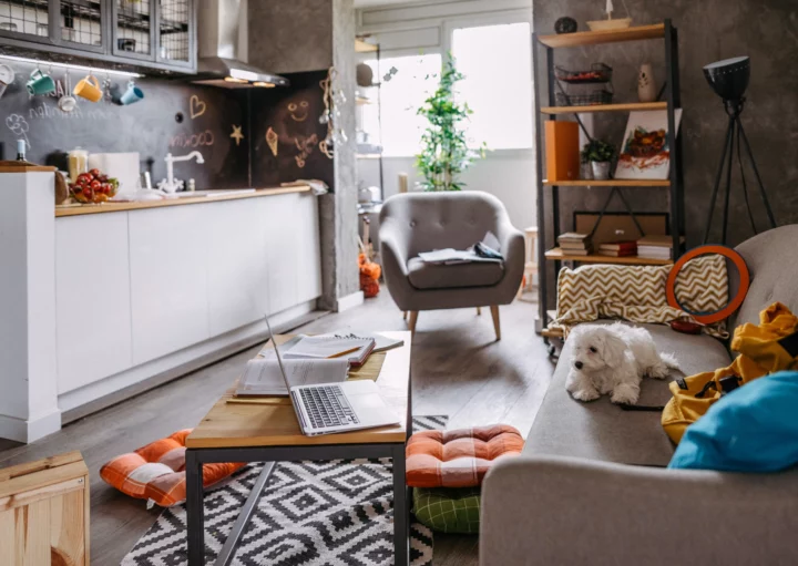 Imagem que ilustra matéria sobre valorização de apartamentos com 1 dormitório mostra um apartamento pequeno